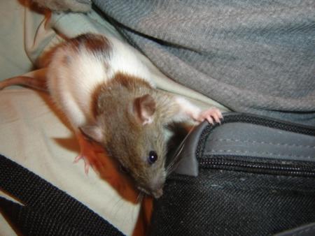 KENNY quand il etait bébé