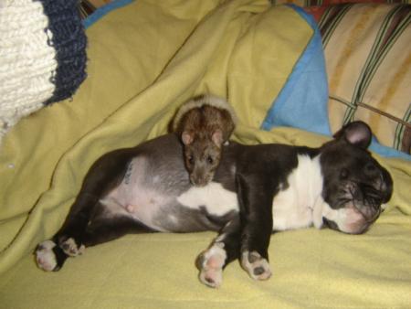 BOOMER et KENNY