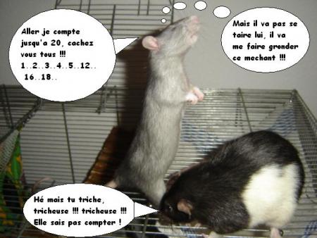 SHIVA et MICKEY
