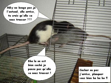MICKEY et MIKY qui se cache !!